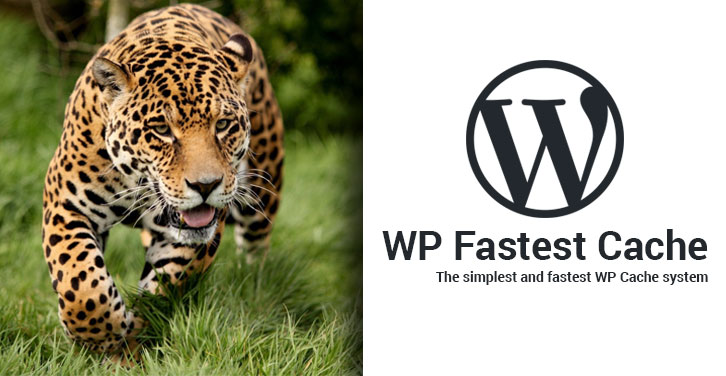 WP Fastest Cache Logo