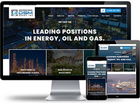 INTERNATIONAL DSM GROUP